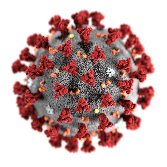 Covid 19 Policy (as of August 12, 2020 - Stage 3)
