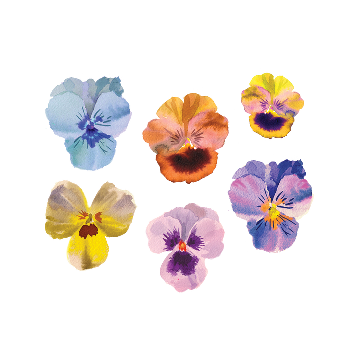 Pansies Tattoo Pair