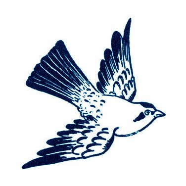 Cartolina Bird Tattoo Pair