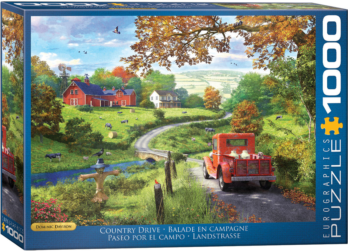 Country Drive by Dominic Davison