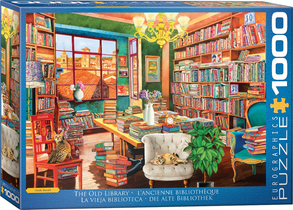 The Old Library by Guido Boerlli