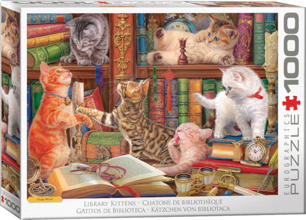 Library Kittens by Image World