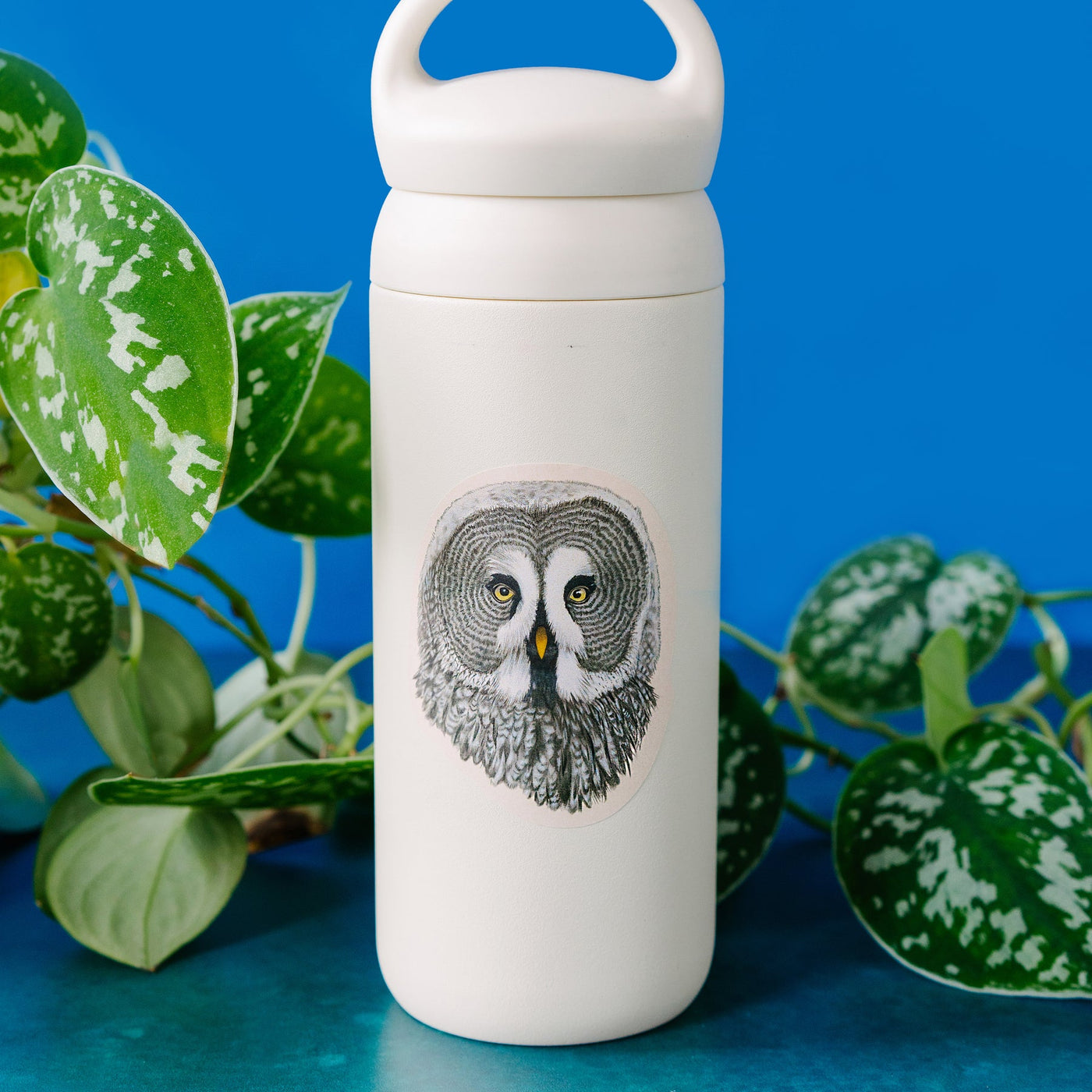 GREAT GREY OWL STICKER