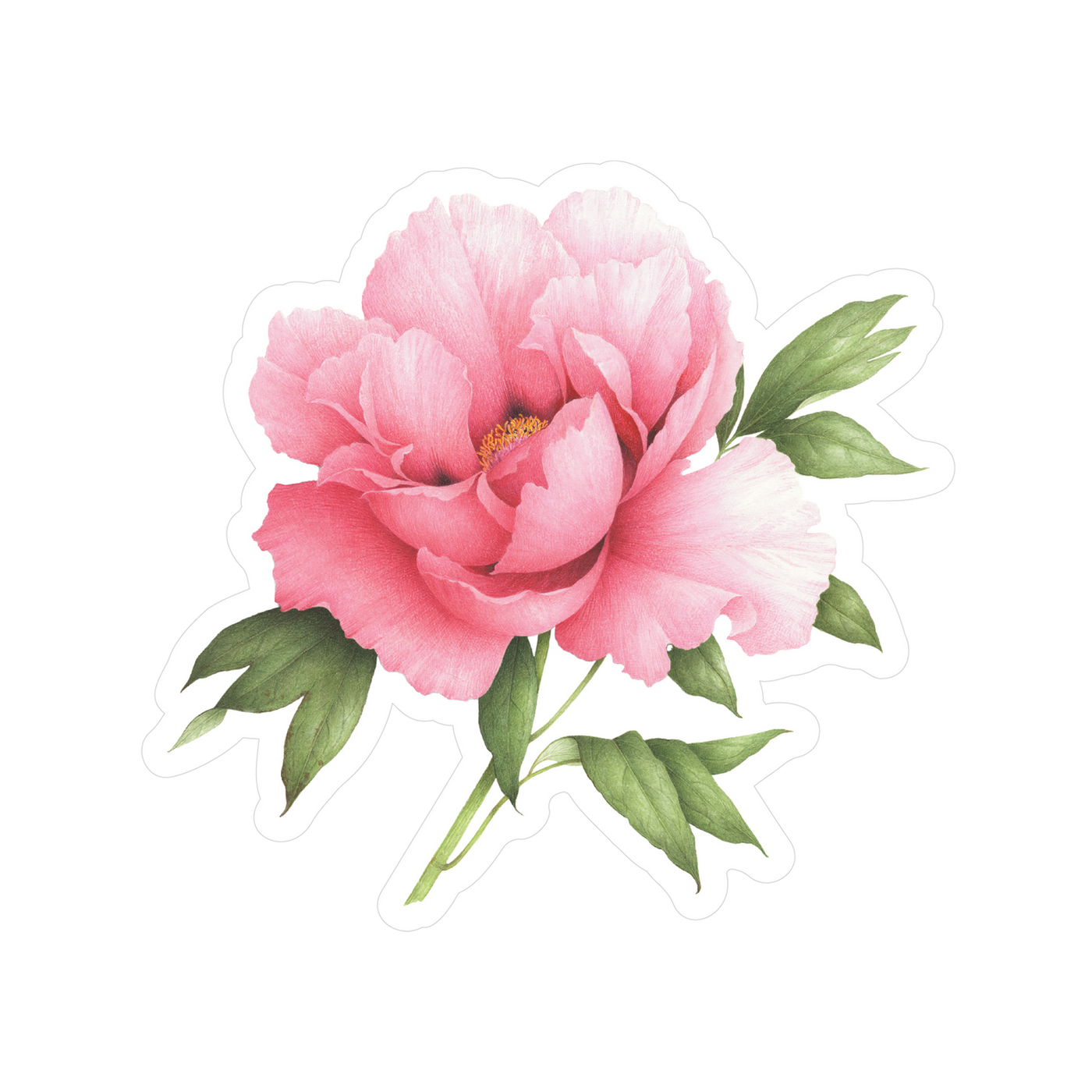 SALMON PEONY STICKER