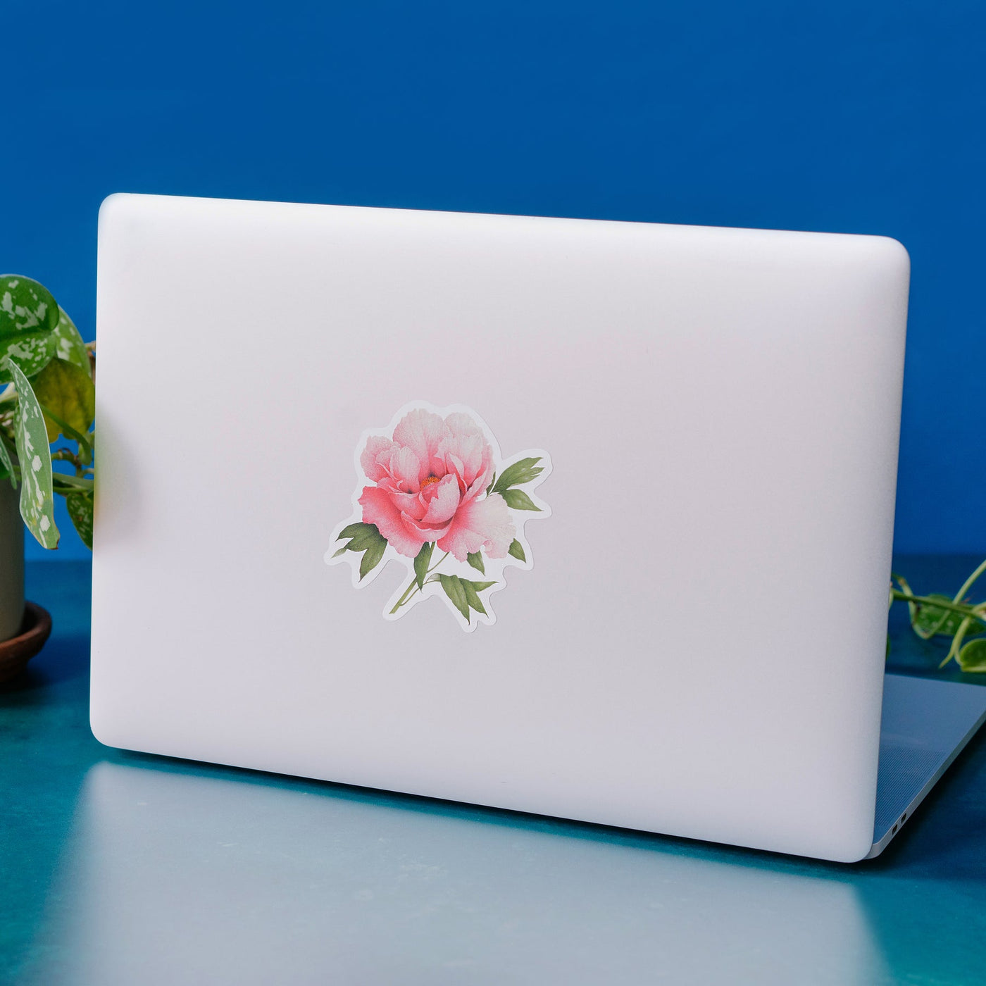 SALMON PEONY STICKER