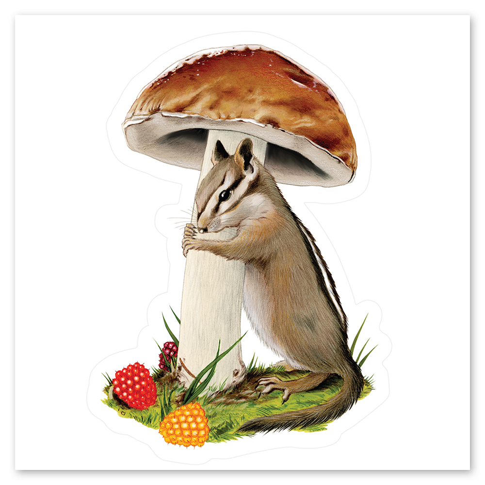 CHIPMUNK STICKER