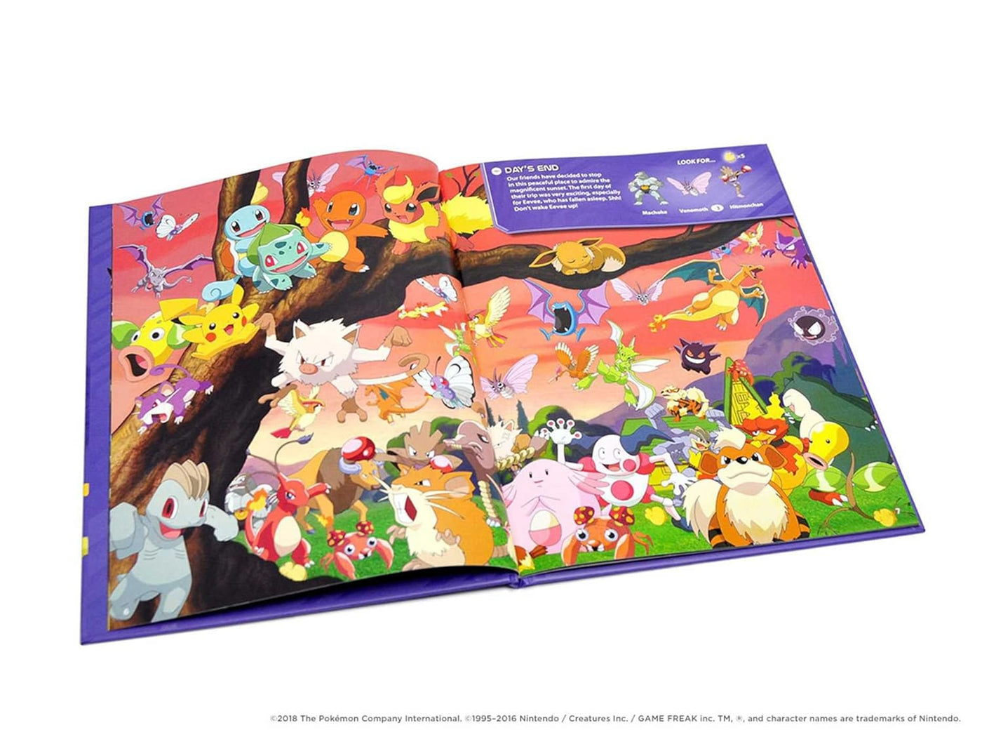 Pokémon Seek and Find: Kanto