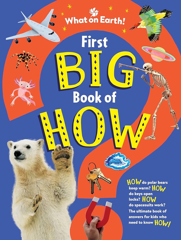 First Big Book of How