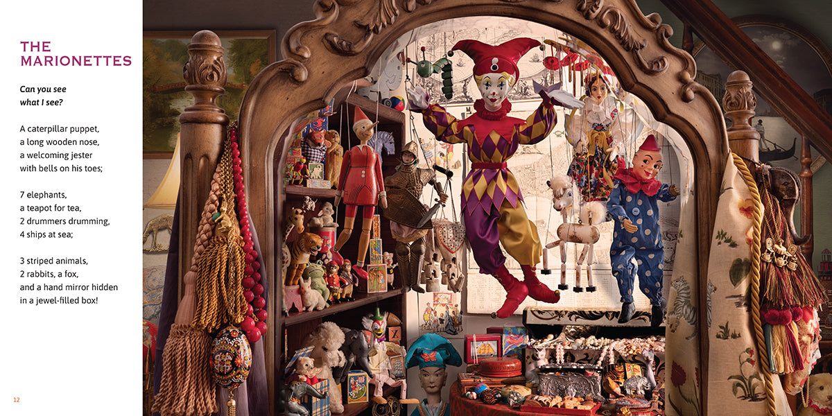 Can You See What I See?: Curiosity Shop