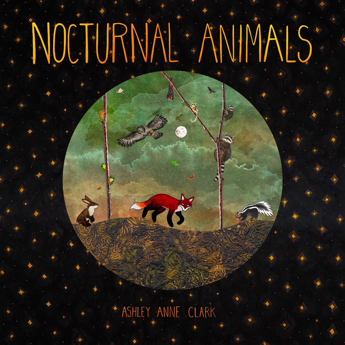 Nocturnal Animals