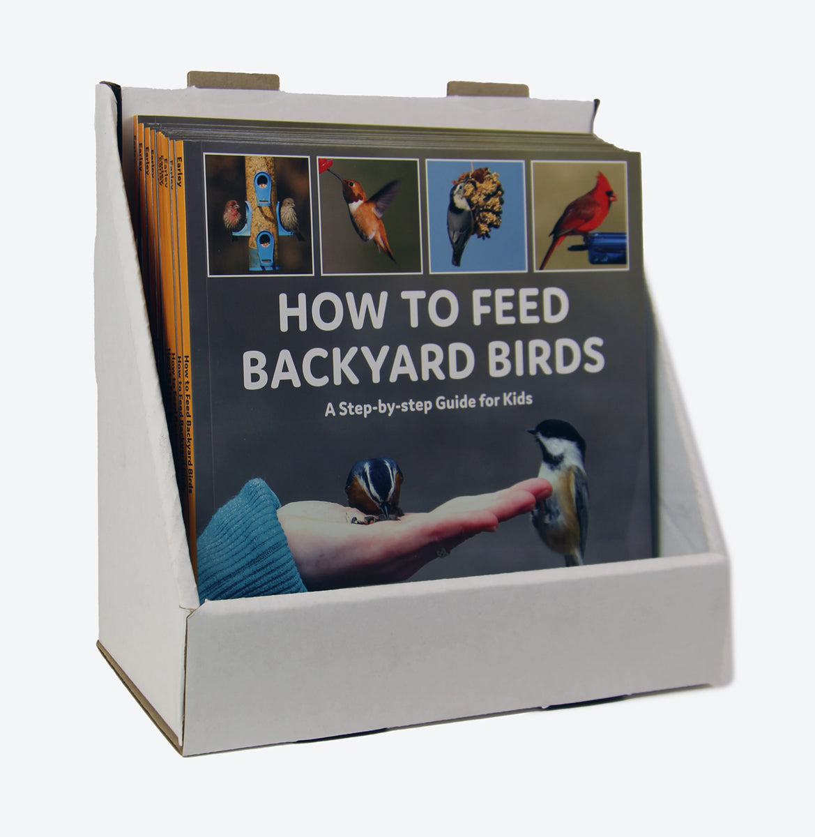How to Feed Backyard Birds