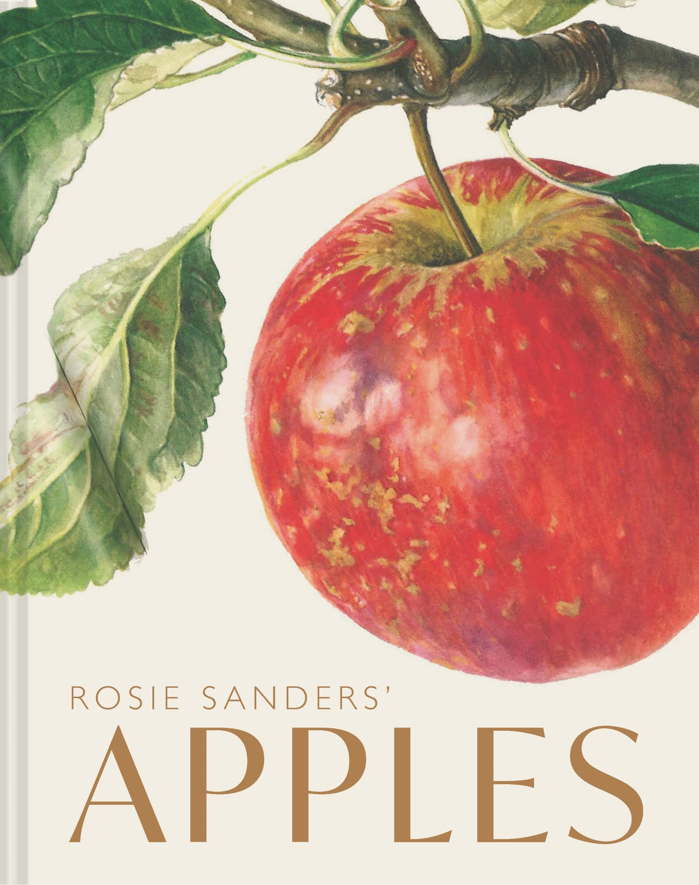 Rosie Sanders' Apples
