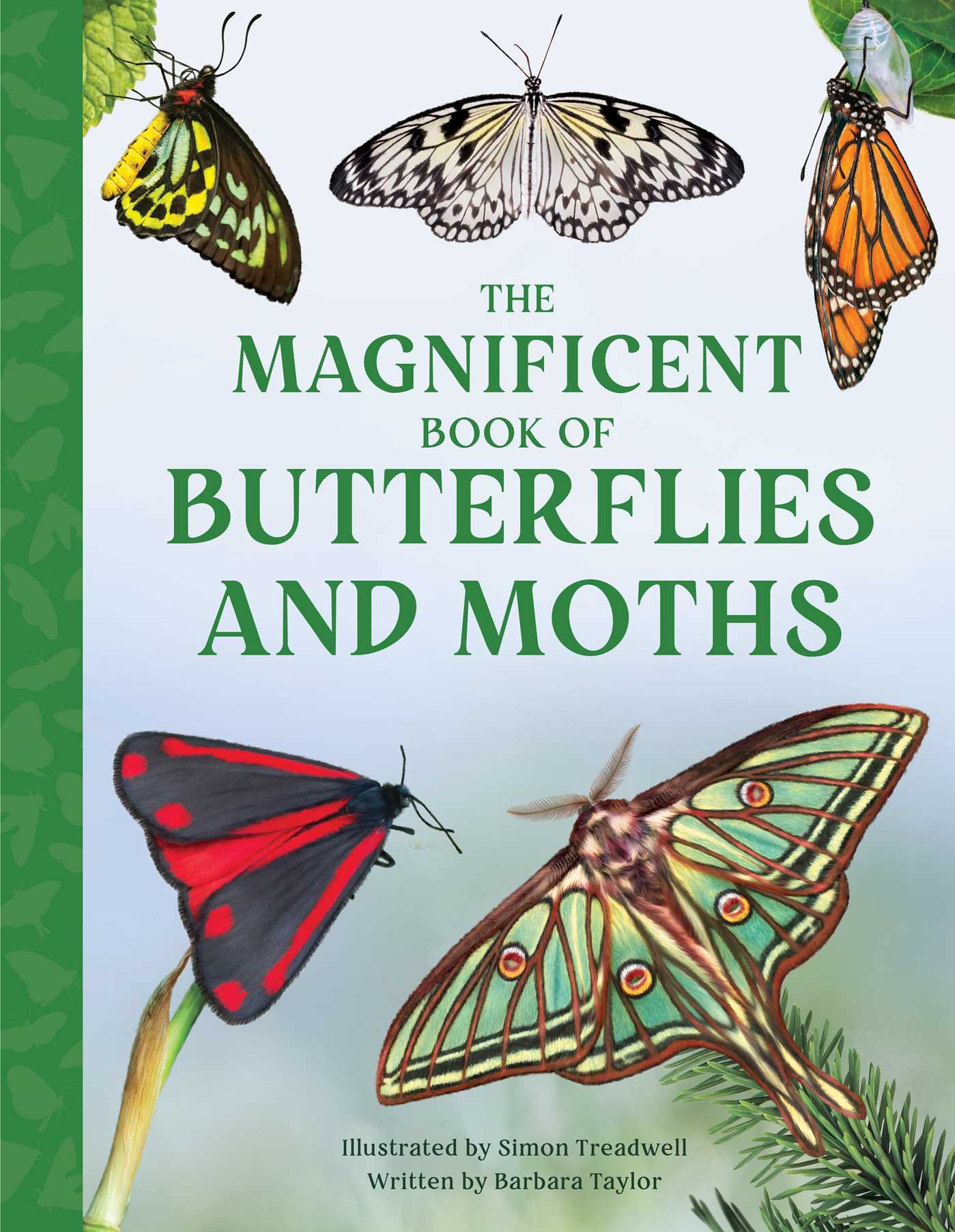 The Magnificent Book of Butterflies &amp; Moths