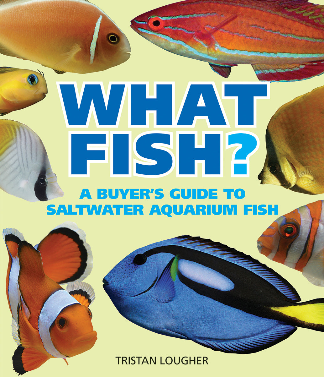 What Saltwater Fish?