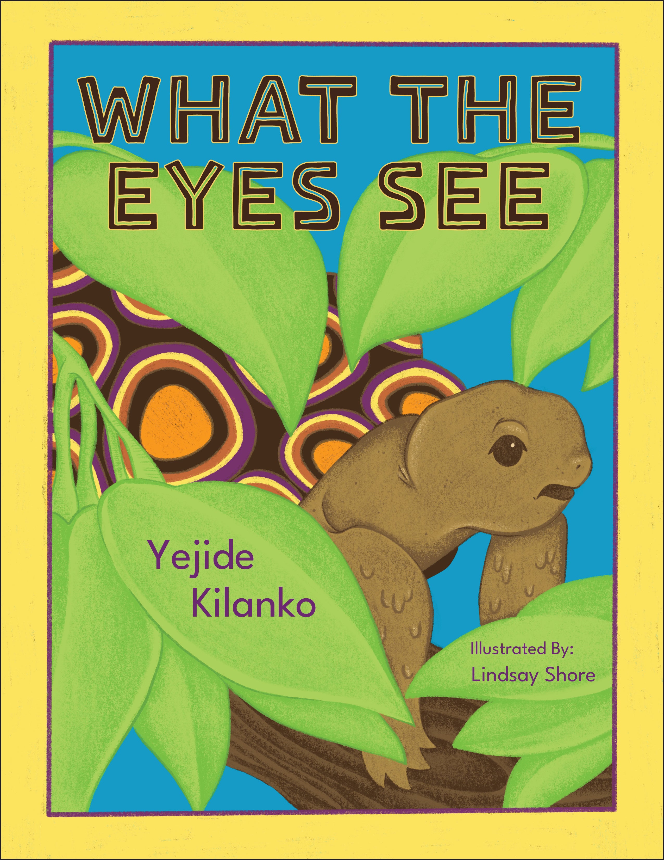 What The Eyes See