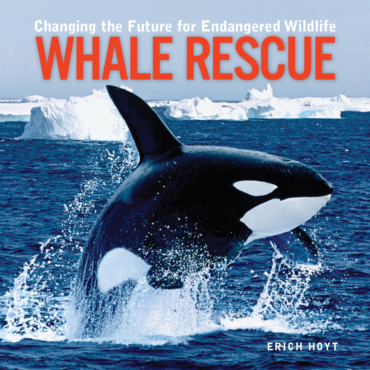 Whale Rescue