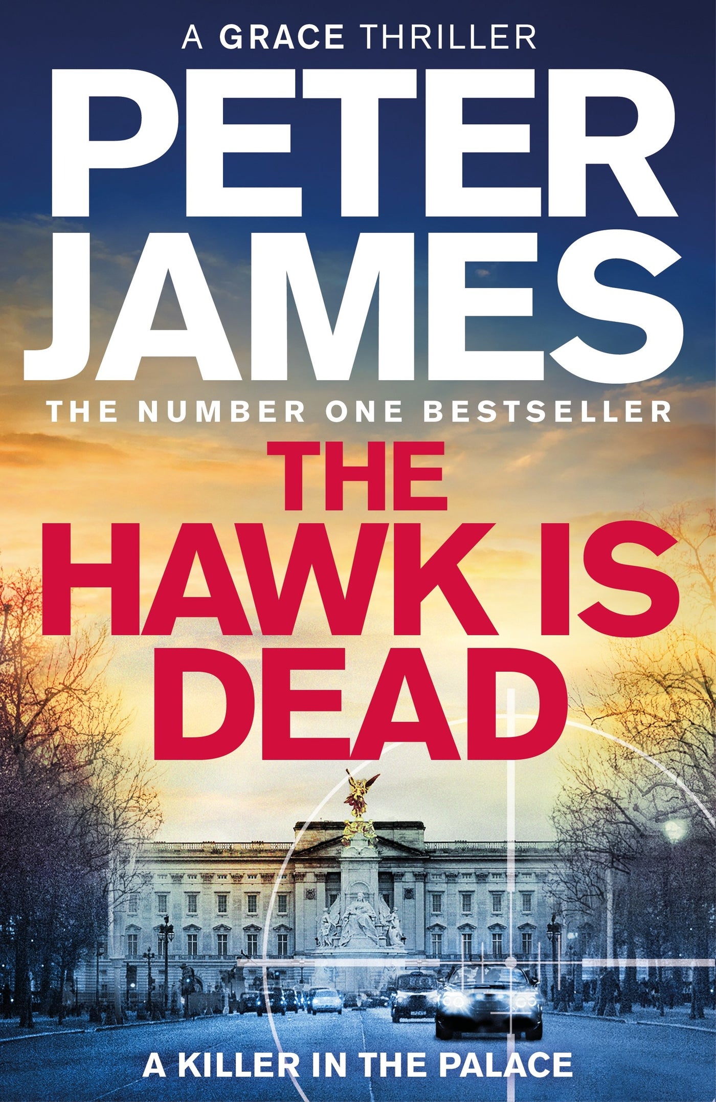 The Hawk is Dead (Roy Grace #21)