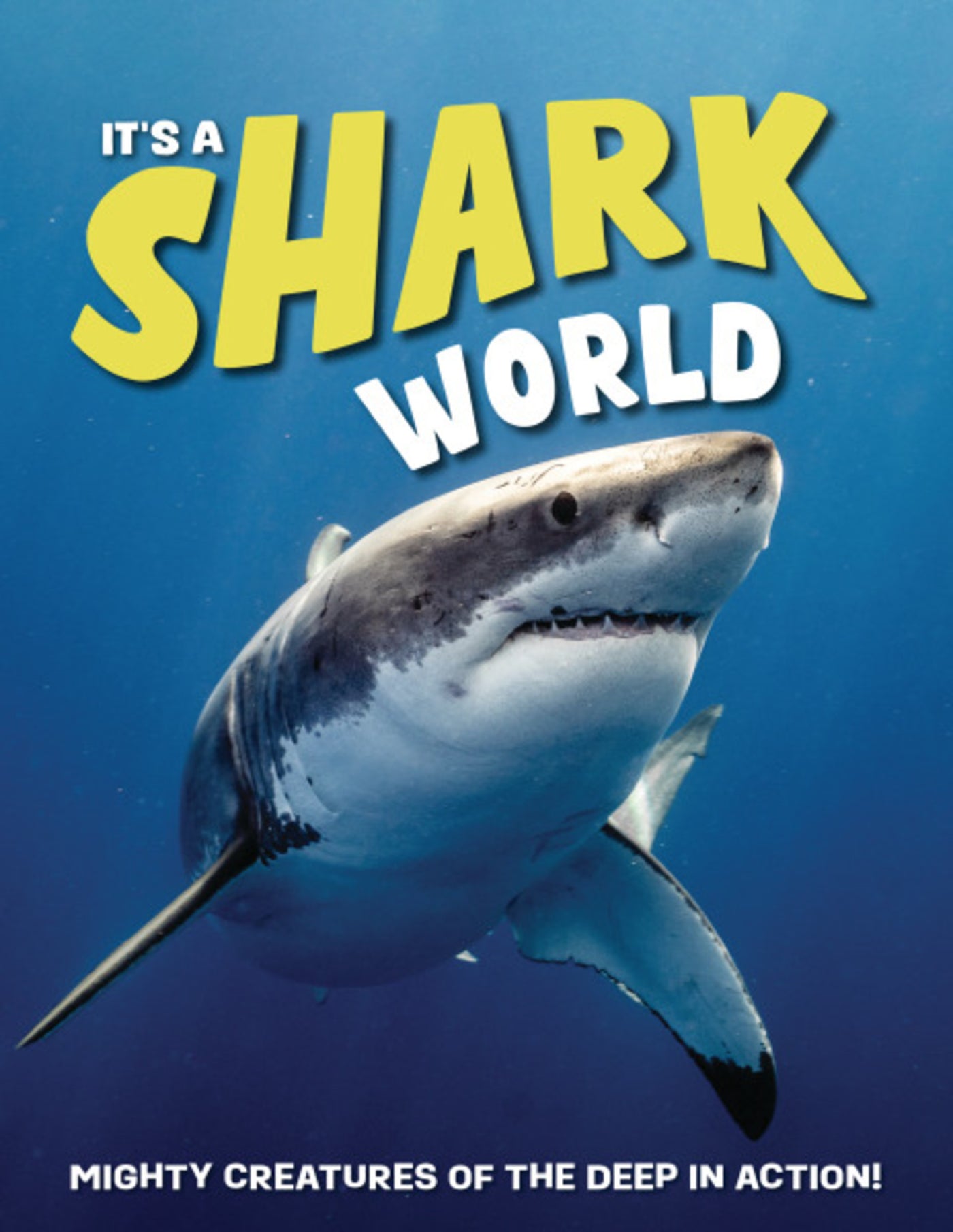 It's a Shark World
