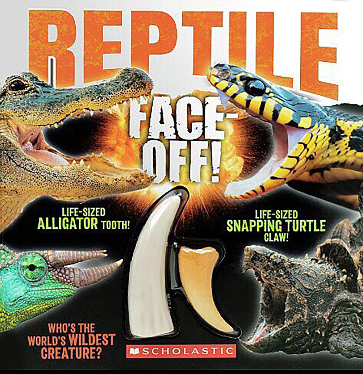 Reptile Face-Off!