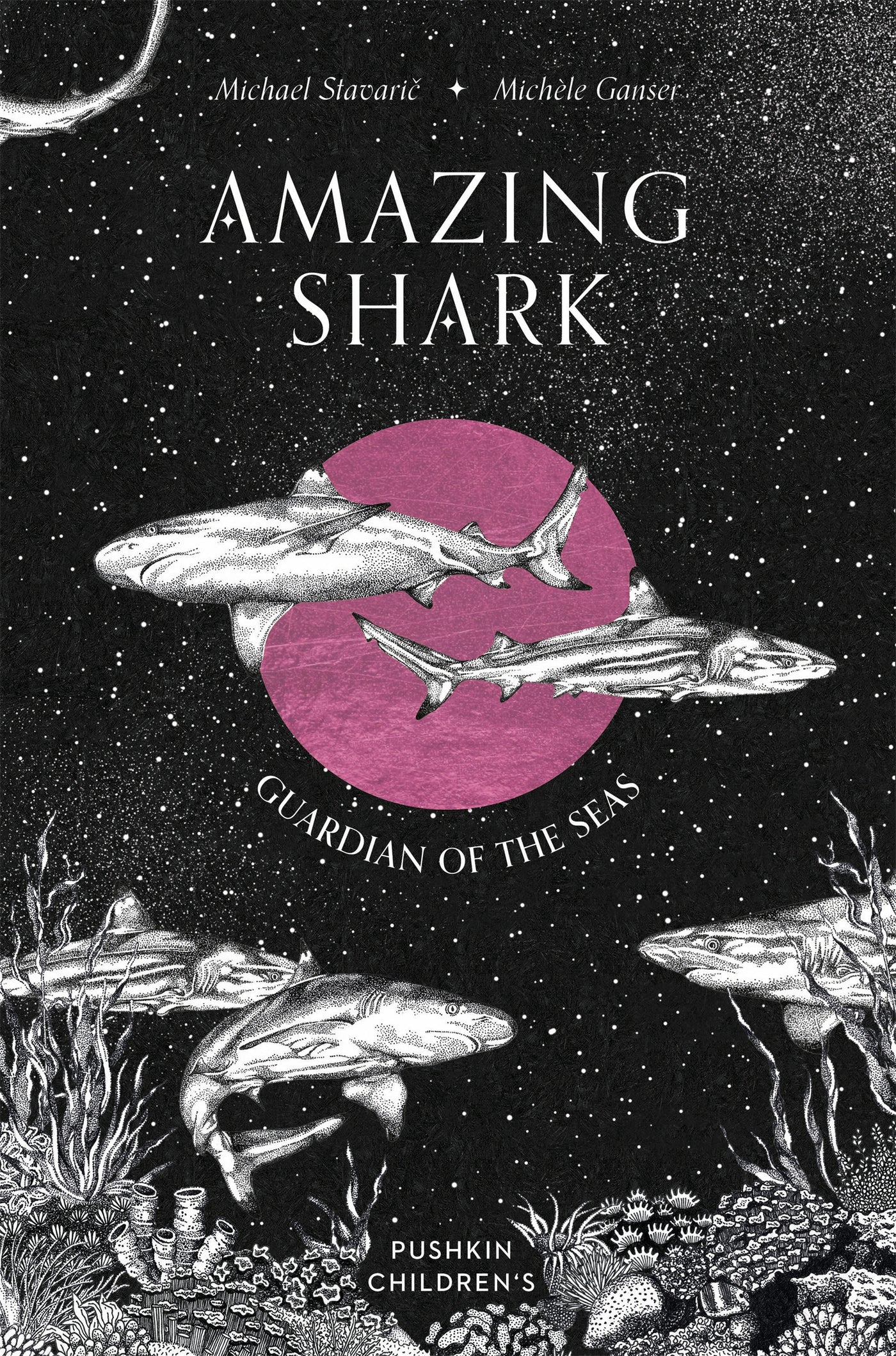Amazing Shark