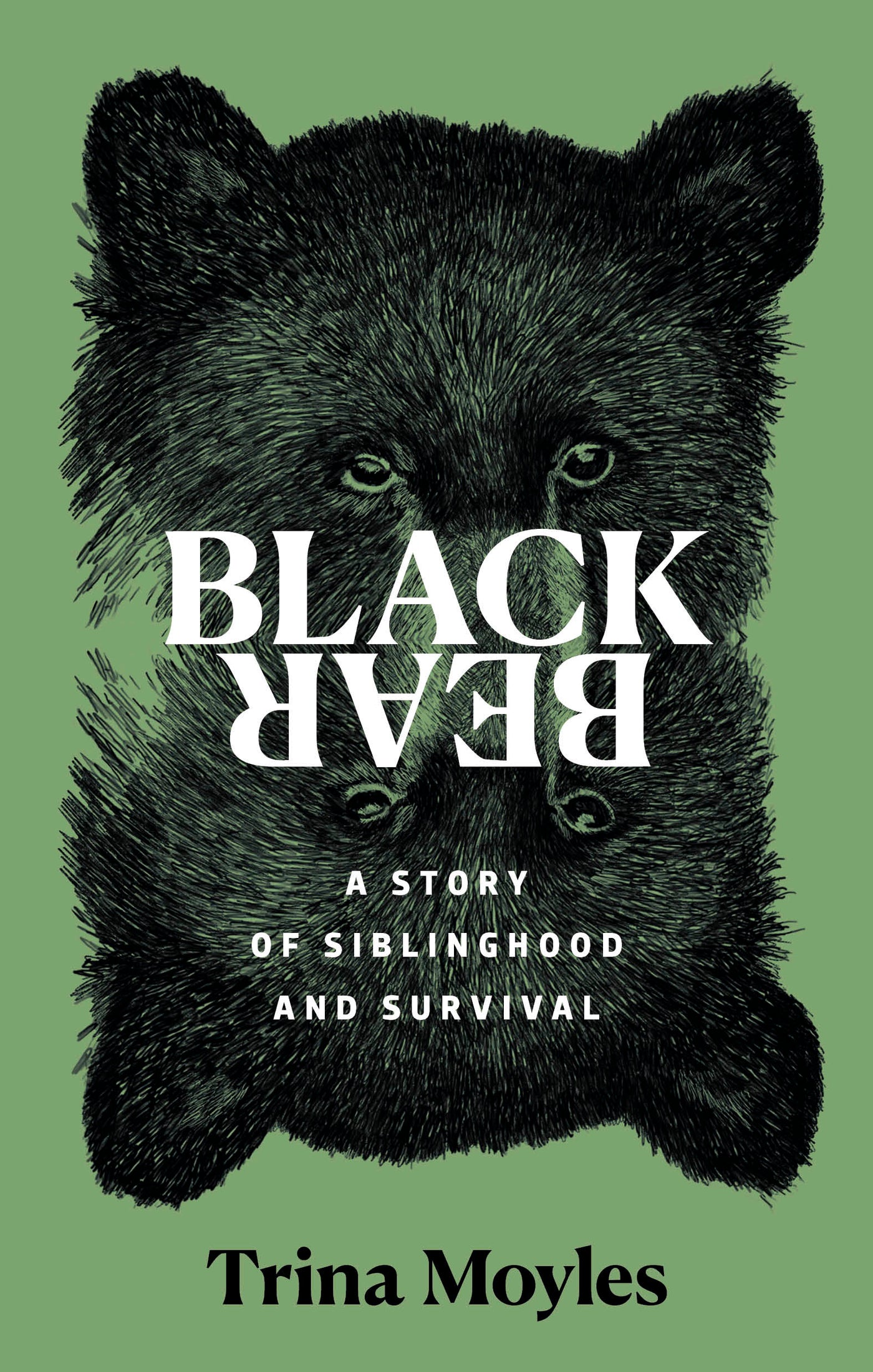 Black Bear