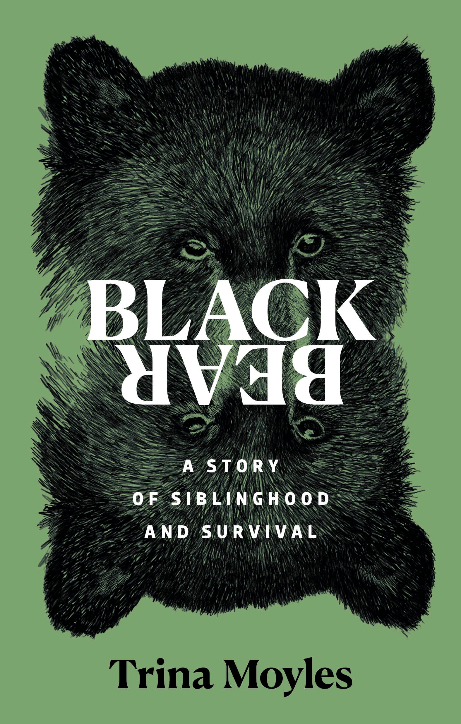 Black Bear
