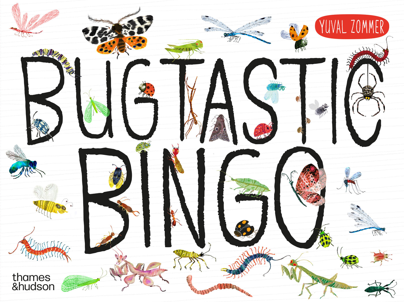 Yuval Zommer's Bugtastic Bingo