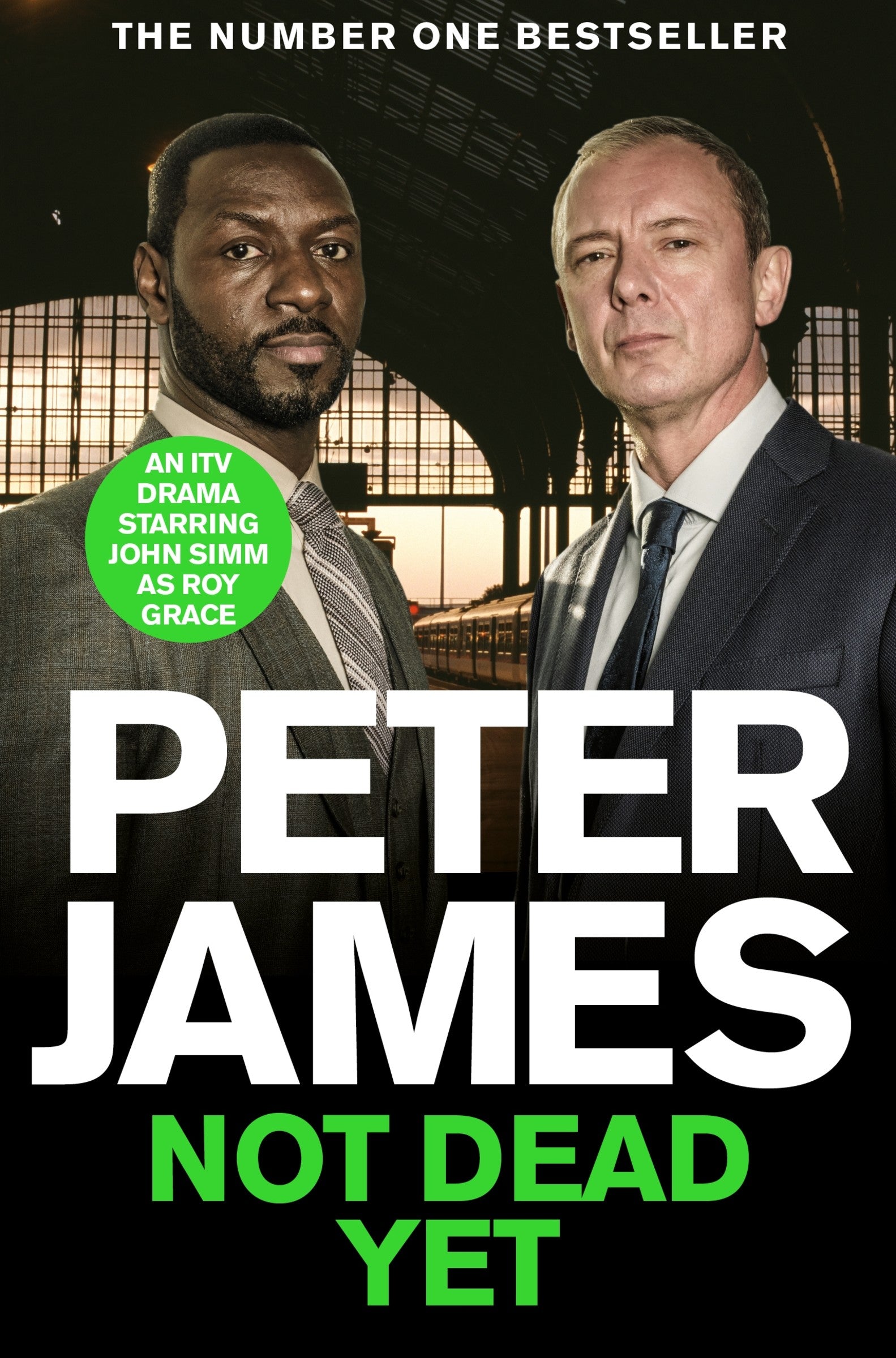 Not Dead Yet (Roy Grace #8)