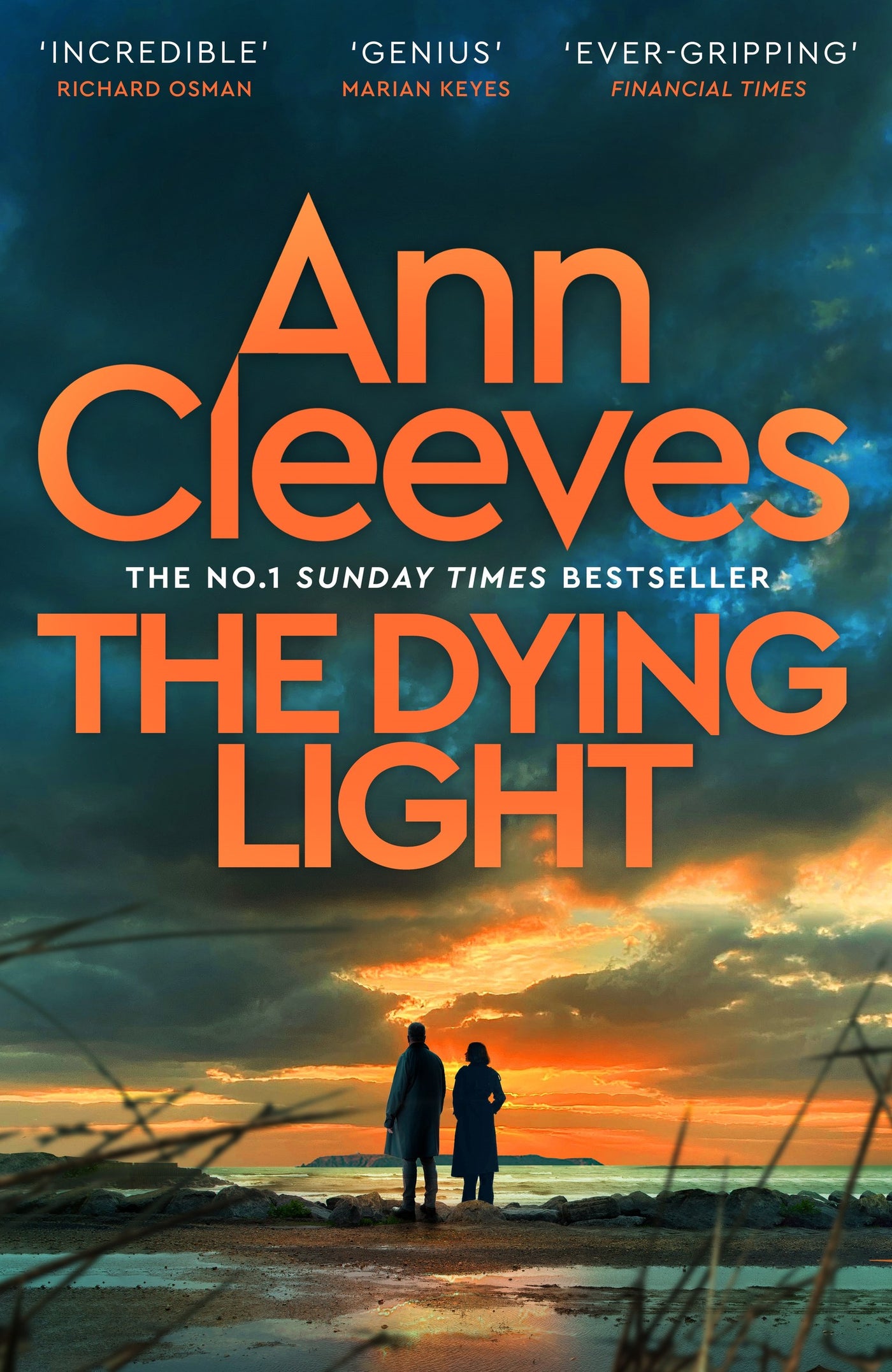 The Dying Light (Two Rivers #4)