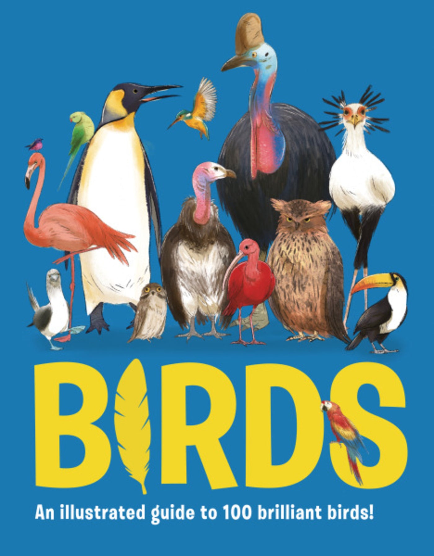 Birds