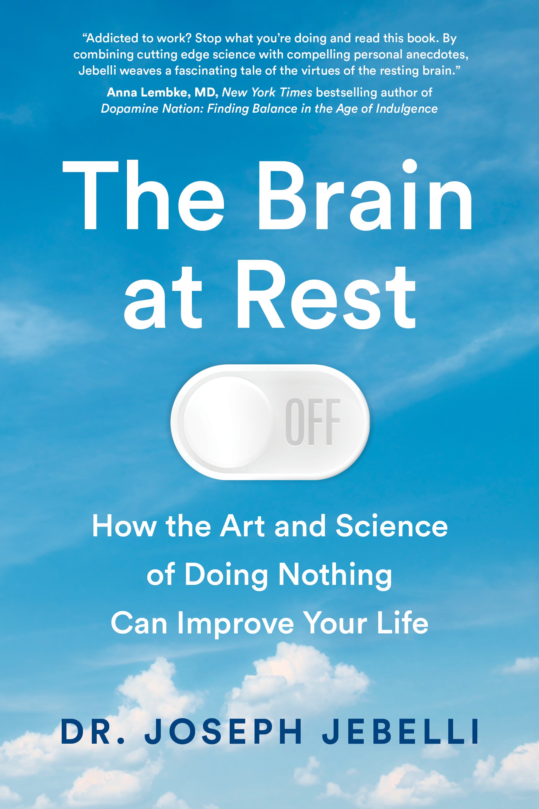 The Brain at Rest