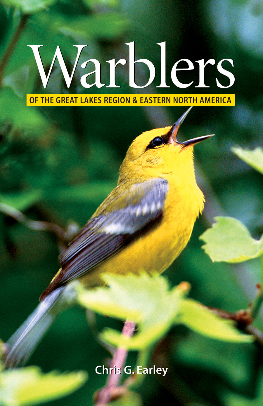 Warblers of the Great Lakes Region and Eastern Nor