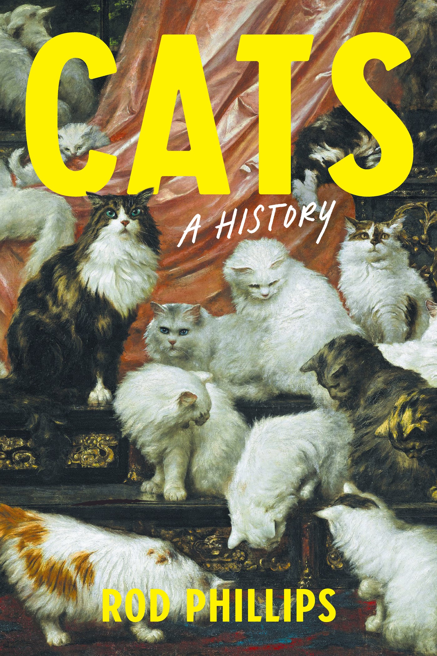 Cats