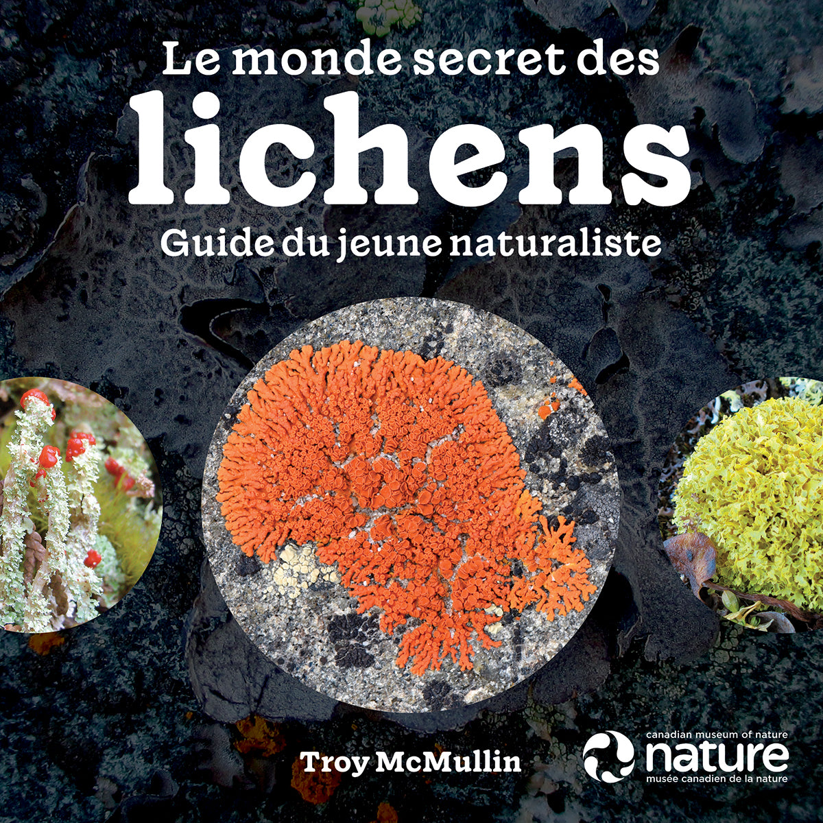 Le Monde Secret des Lichens