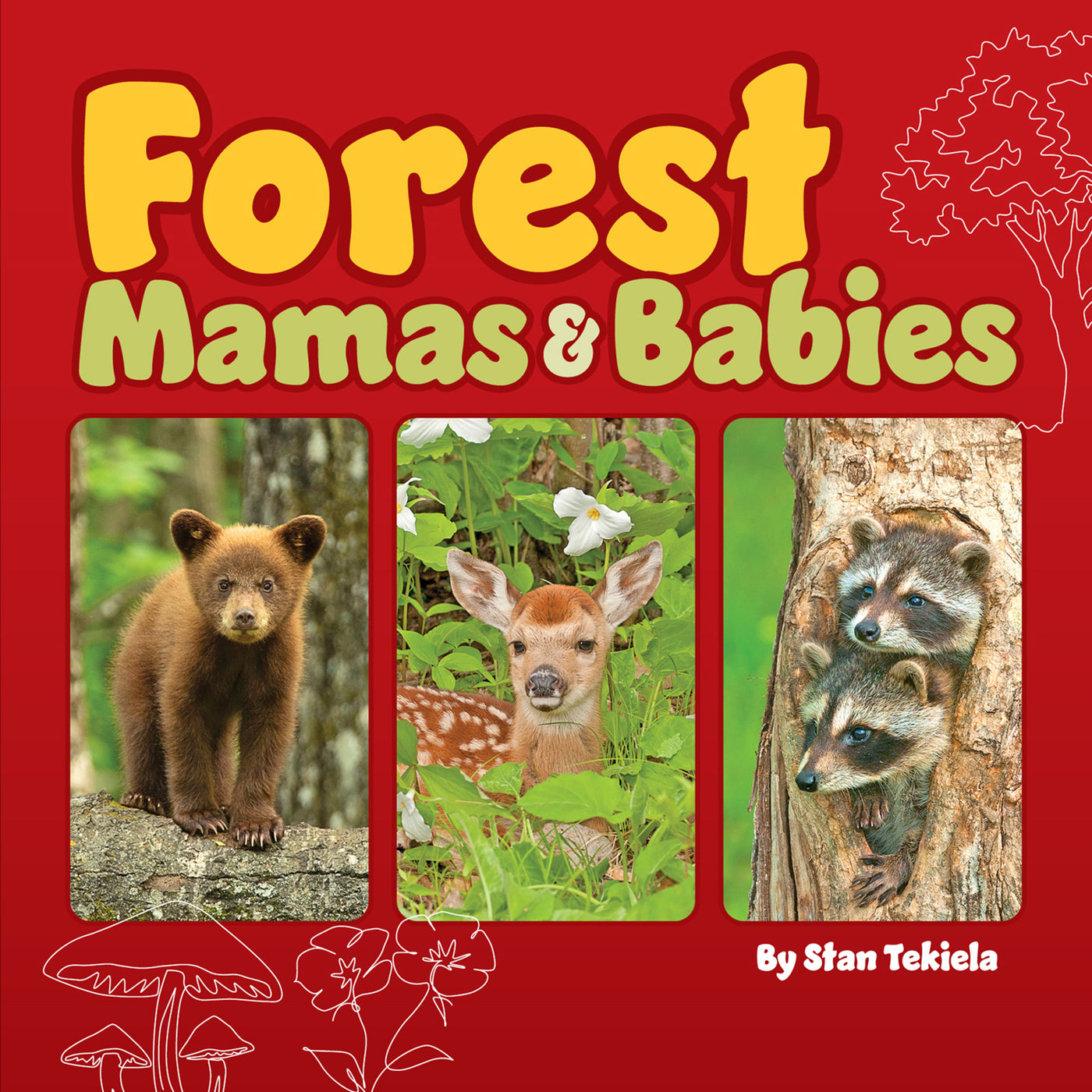 Forest Mamas &amp; Babies