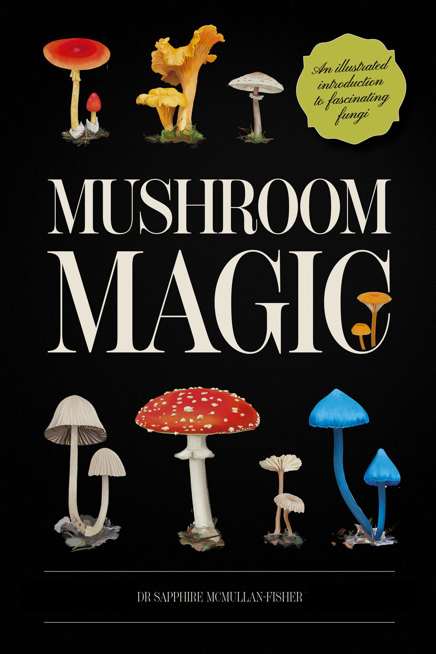 Mushroom Magic