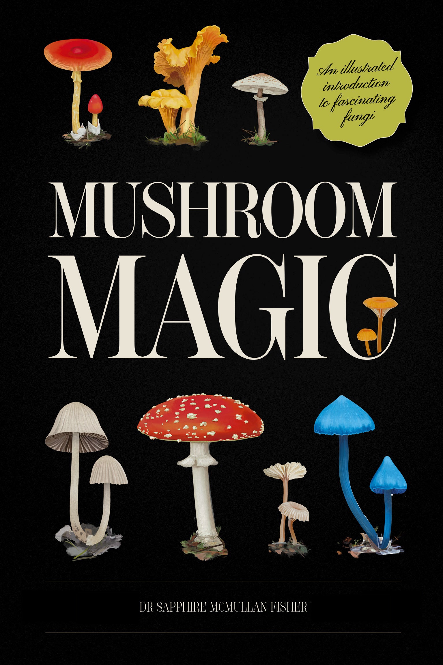 Mushroom Magic