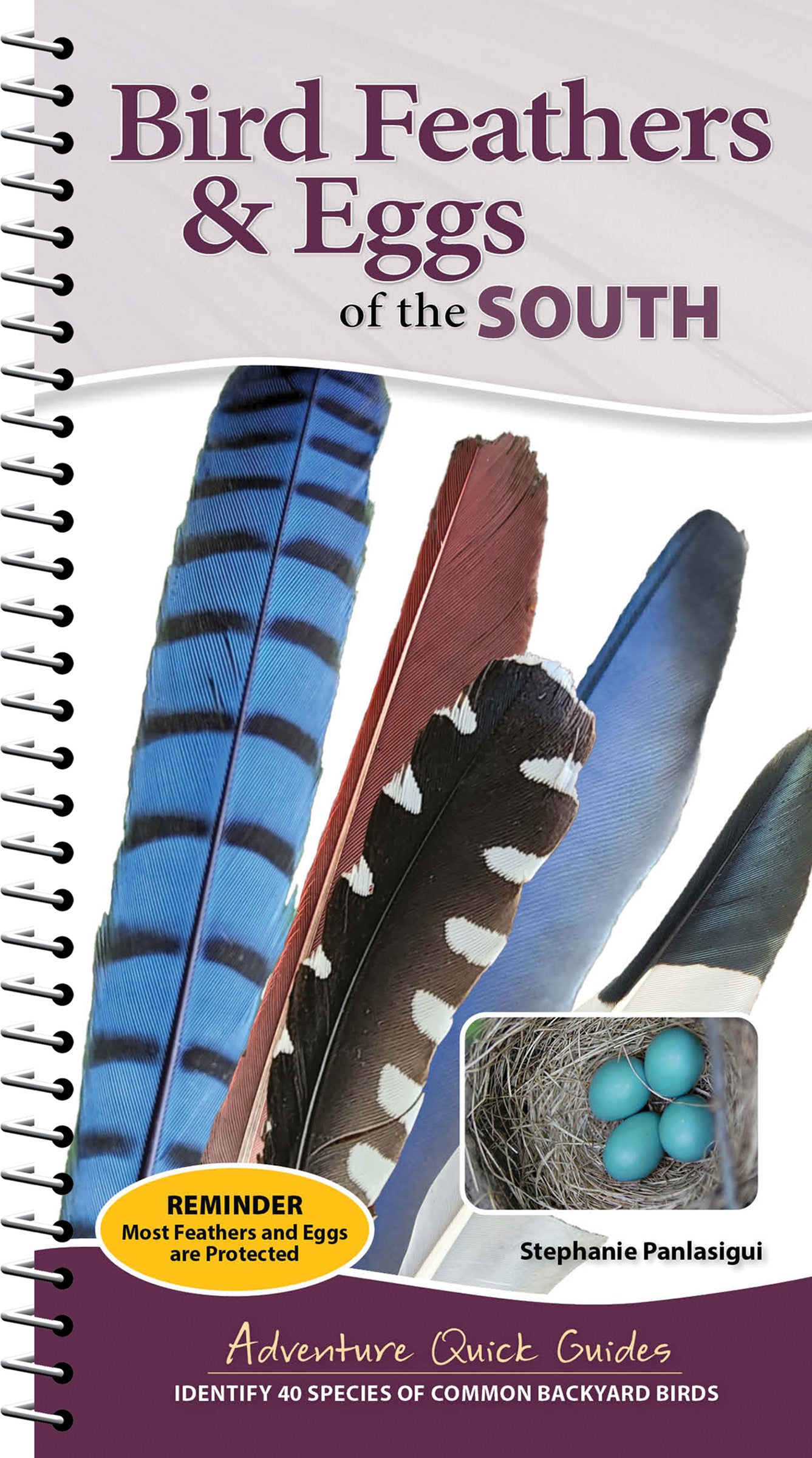 Bird Feathers &amp; Eggs of the South