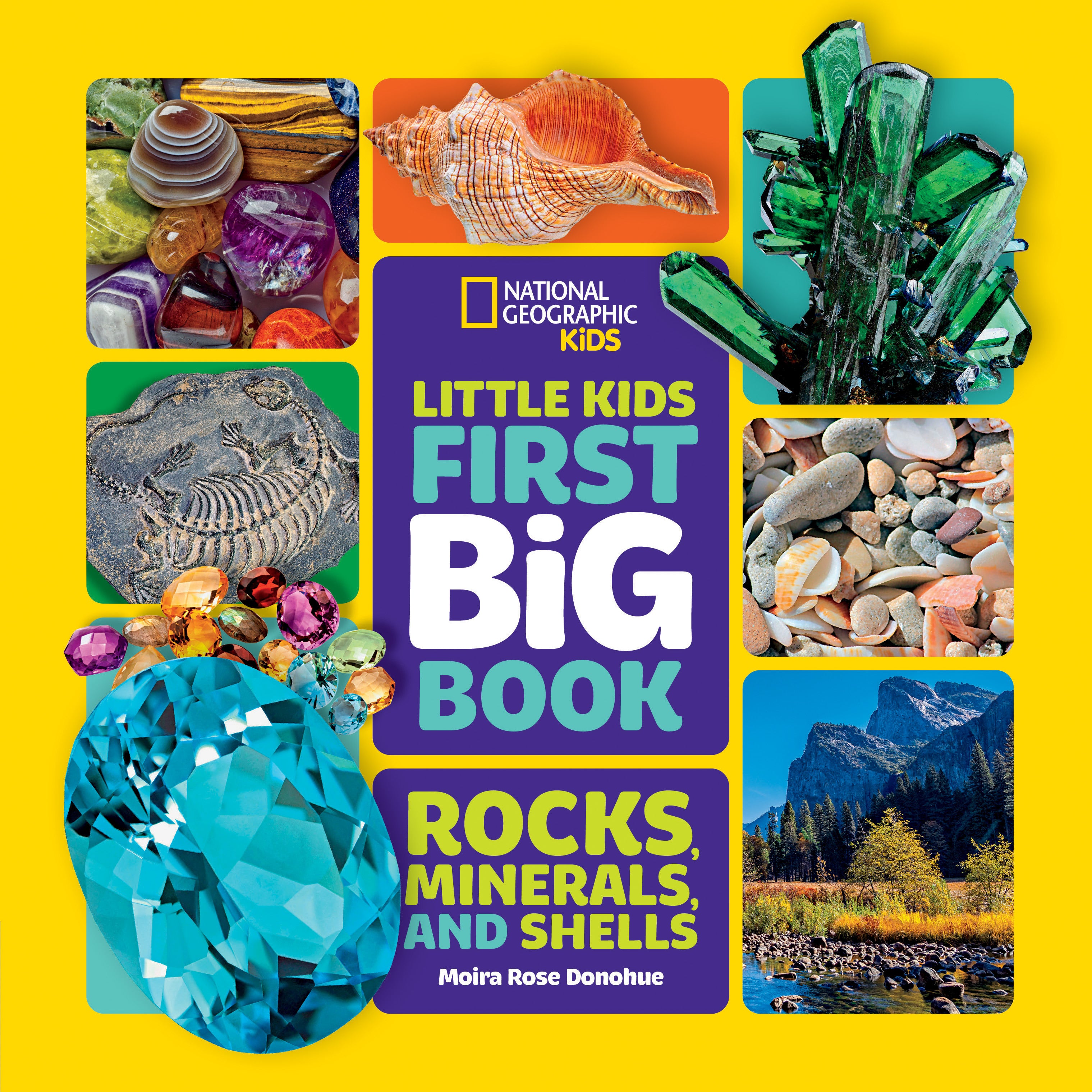 National Geographic Little Kids First Big Book of Rocks, Minerals &amp; Shells