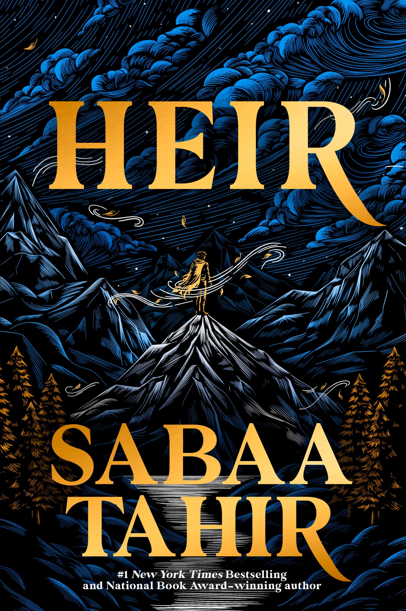 Heir (A Good Morning America YA Book Club Pick)