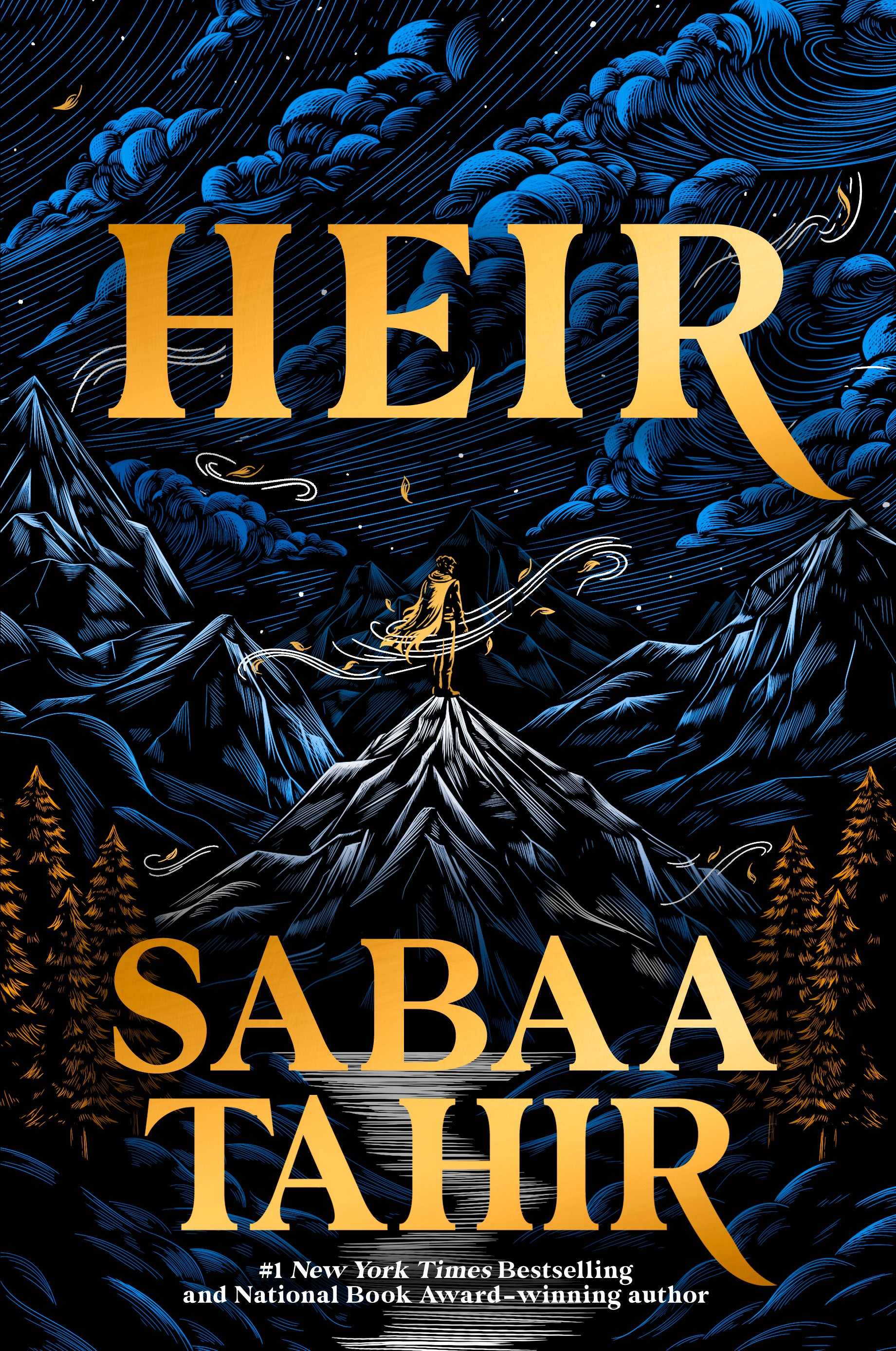 Heir (A Good Morning America YA Book Club Pick)