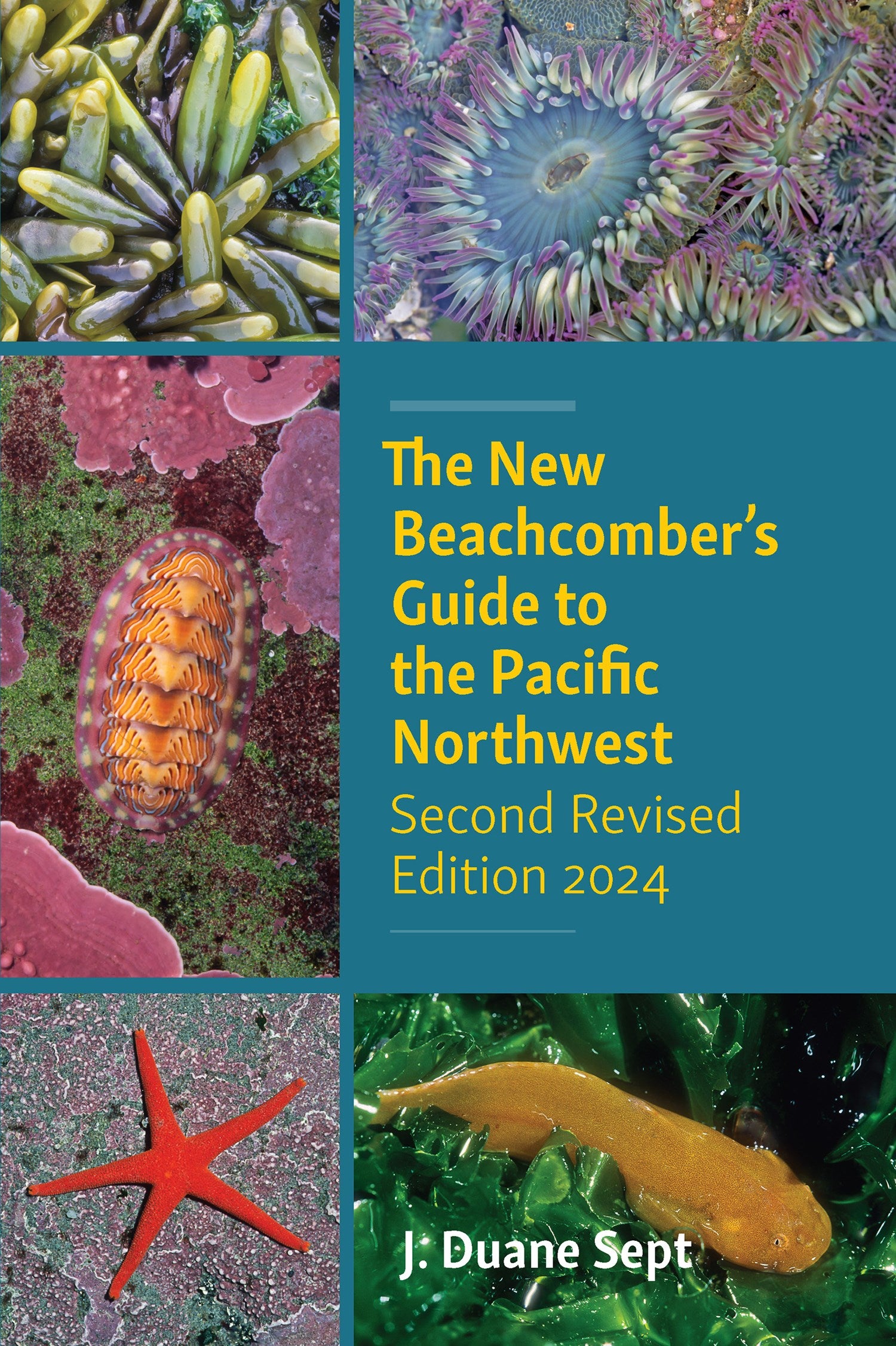 The New Beachcomber’s Guide to the Pacific Northwest