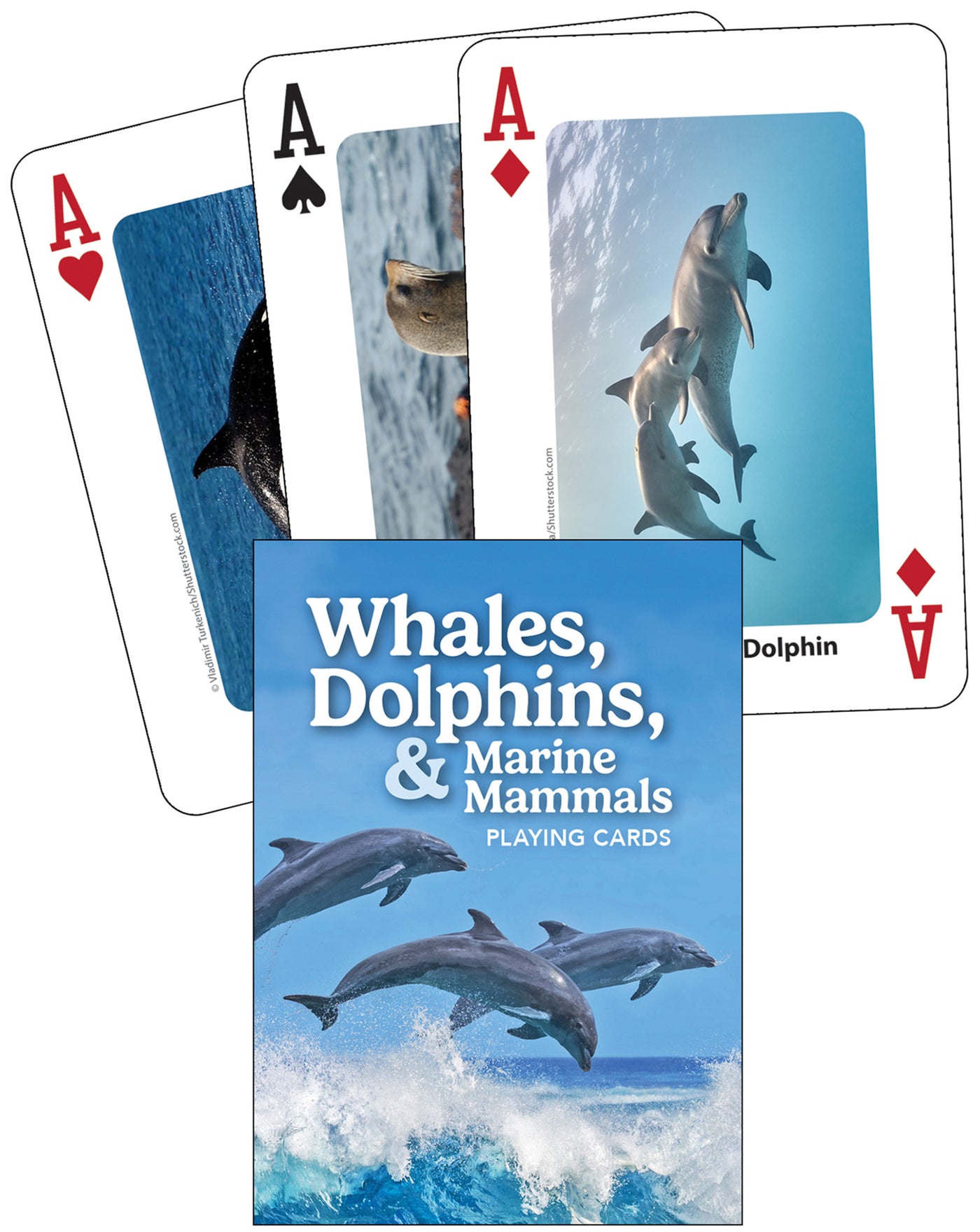 Whales, Dolphins, & Marine Mammals Playing Cards