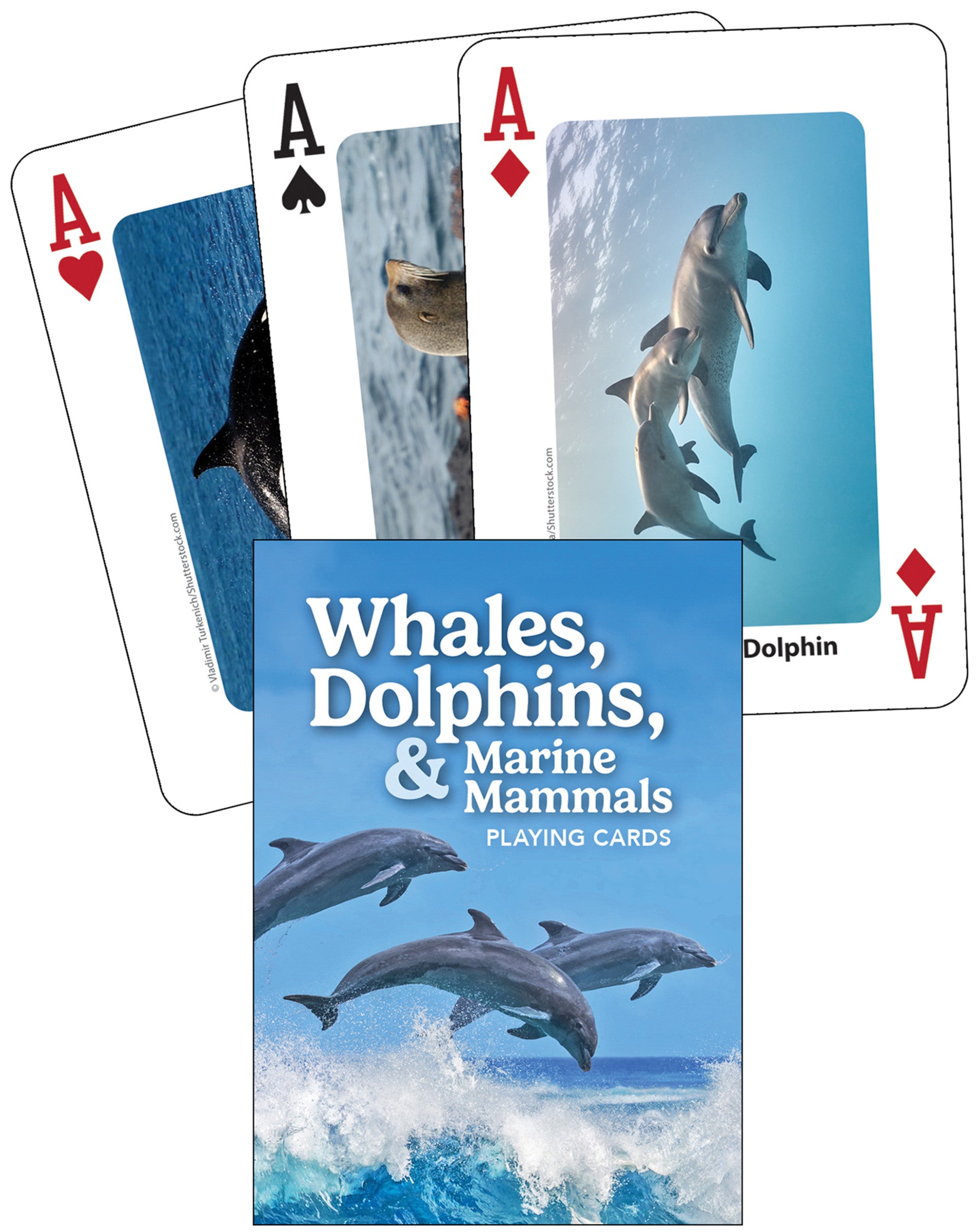 Whales, Dolphins, & Marine Mammals Playing Cards