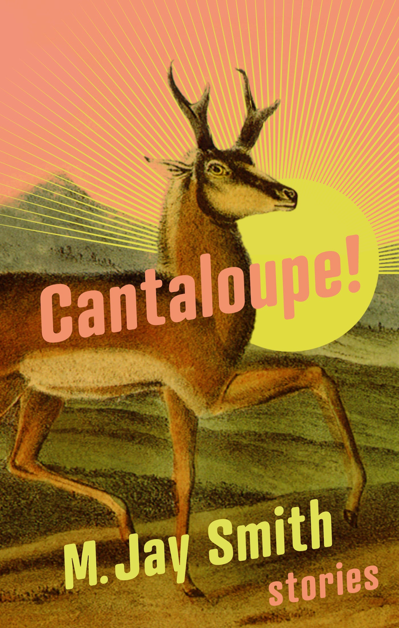 Cantaloupe!