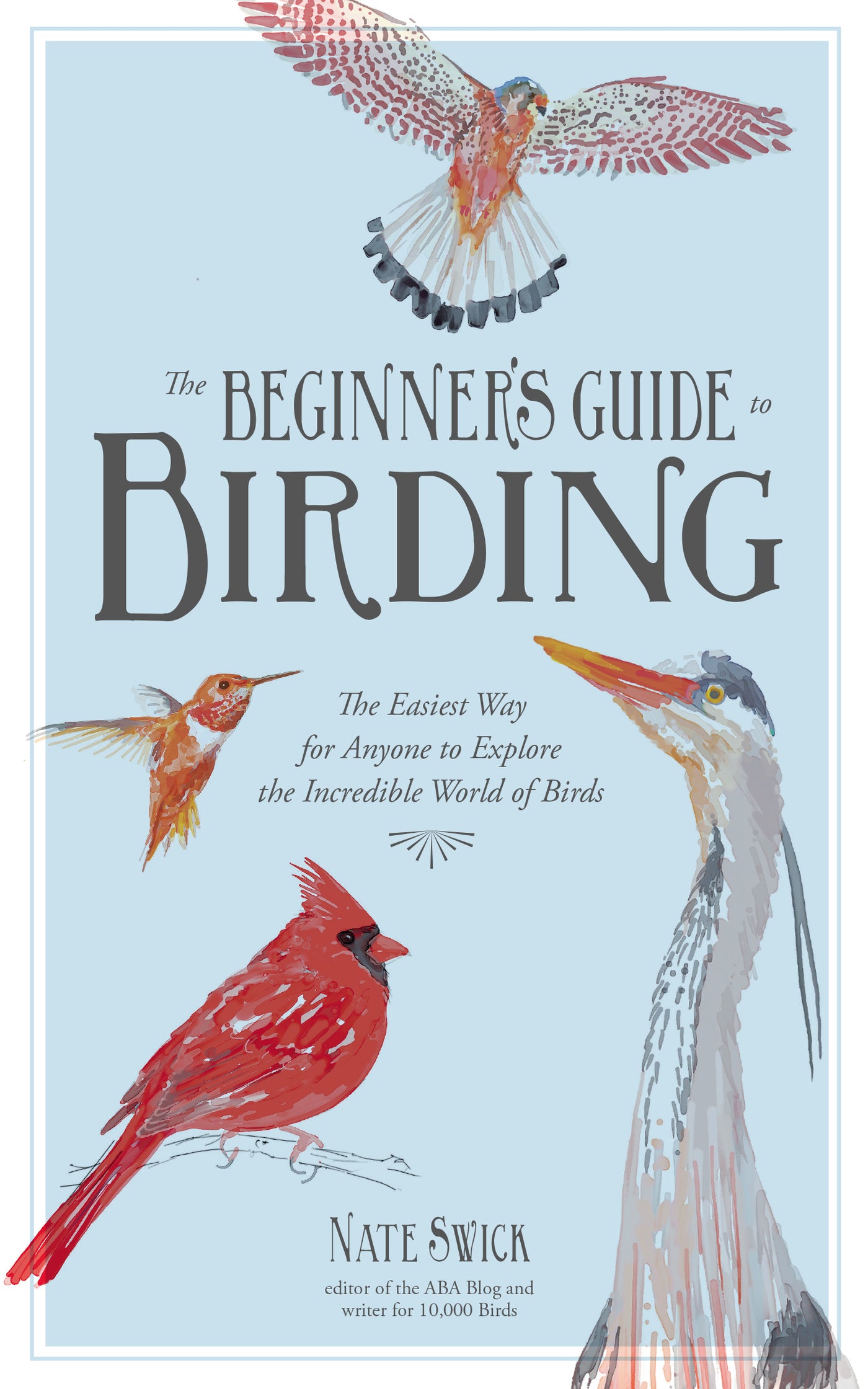 Birding for the Curious