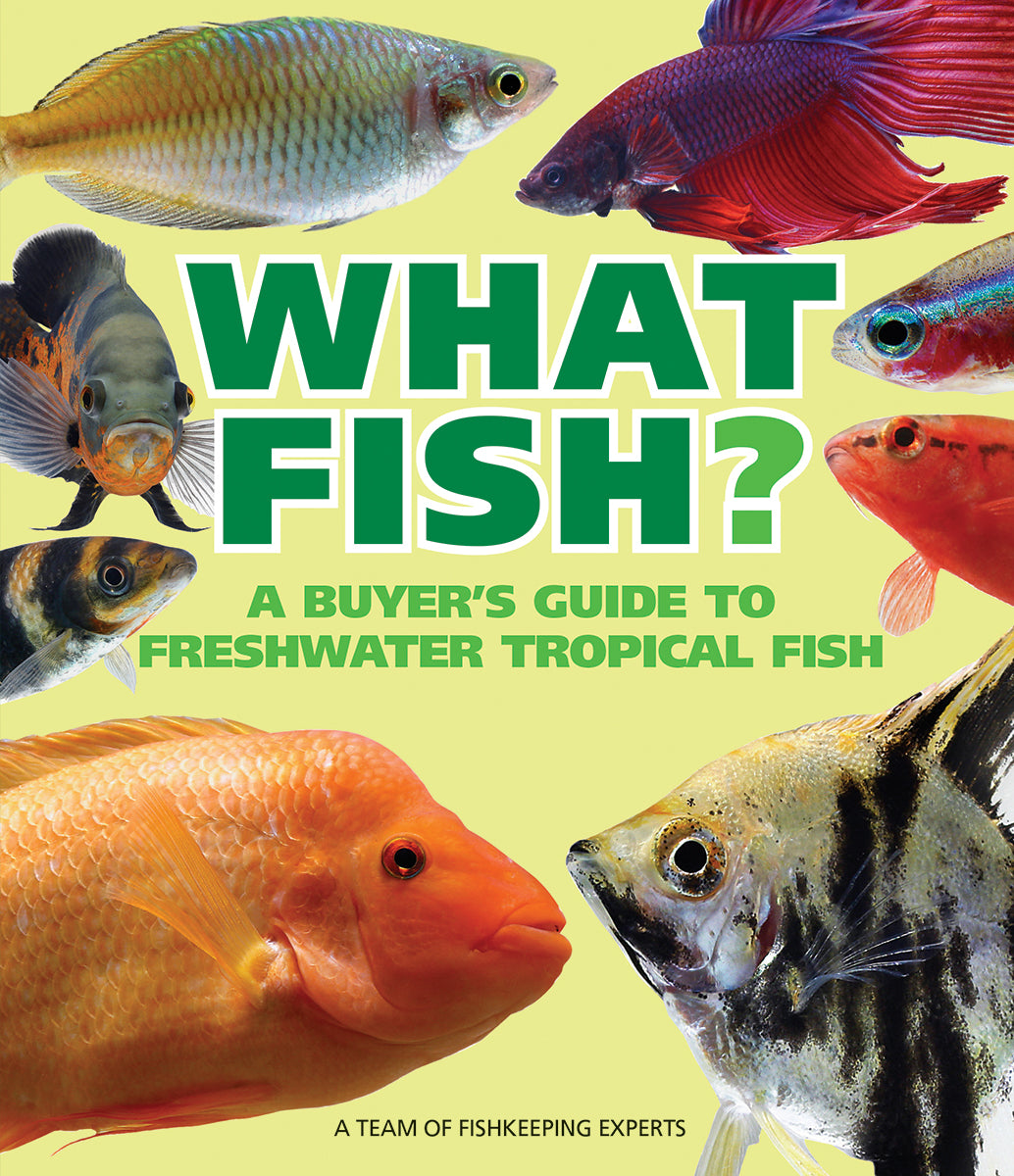 What Freshwater Fish?