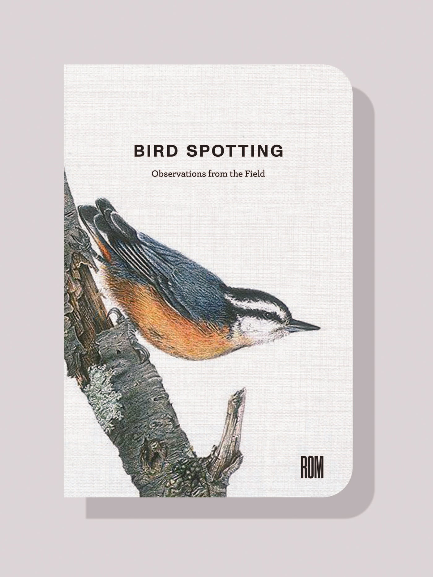 Bird Spotting