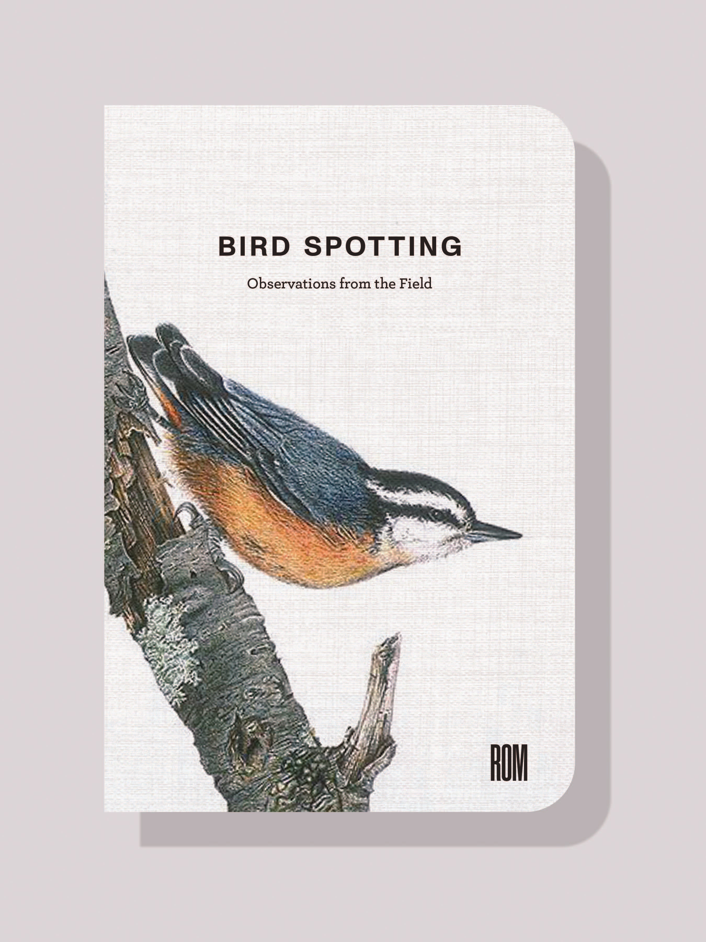 Bird Spotting