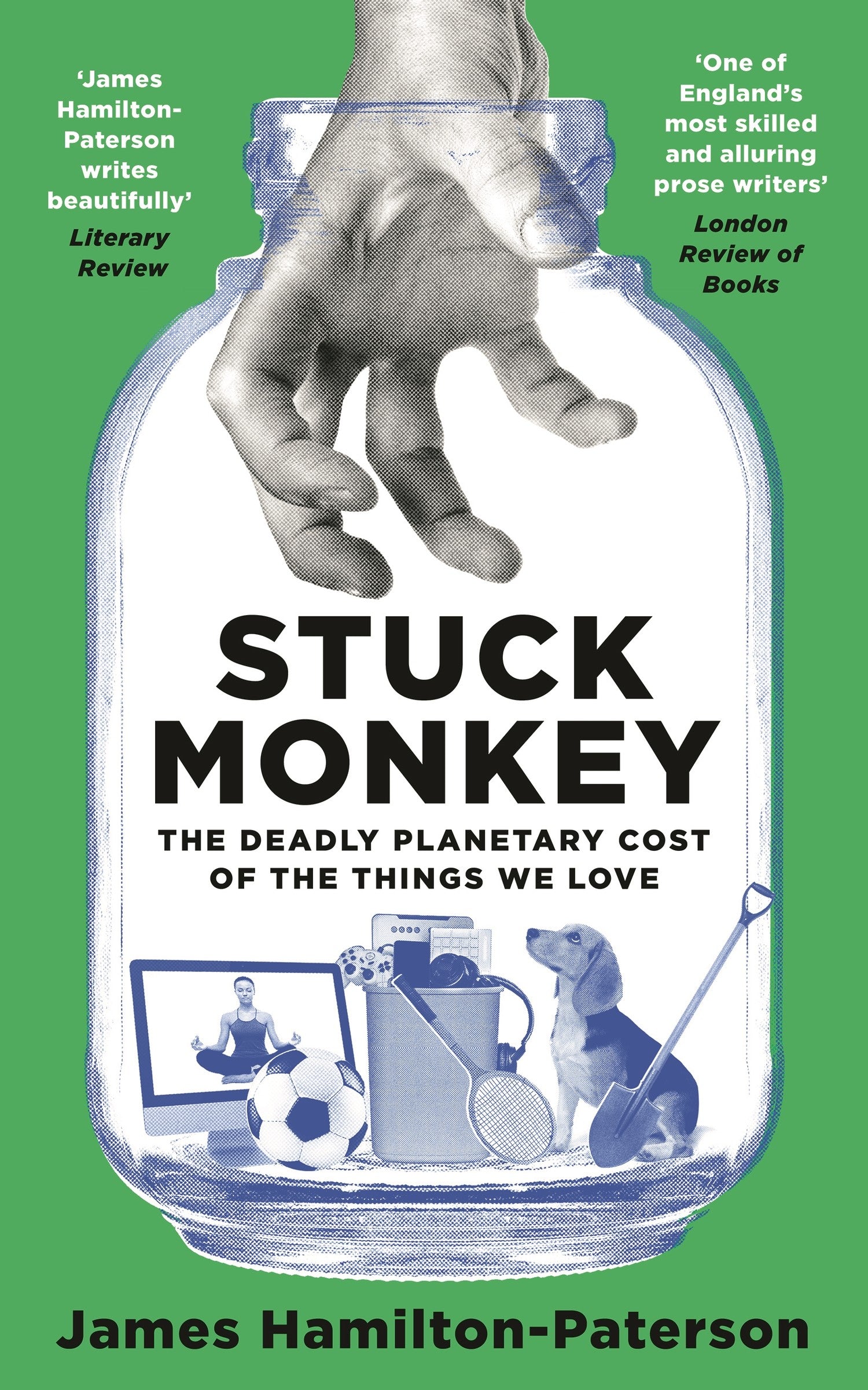 Stuck Monkey